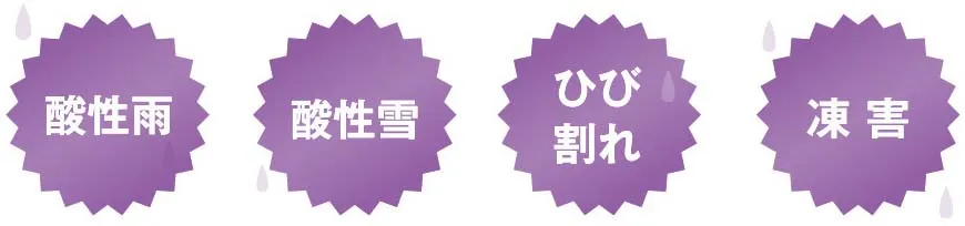 酸性雨・酸性雪・ひび割れ・凍害など外壁の劣化要因を示した図
